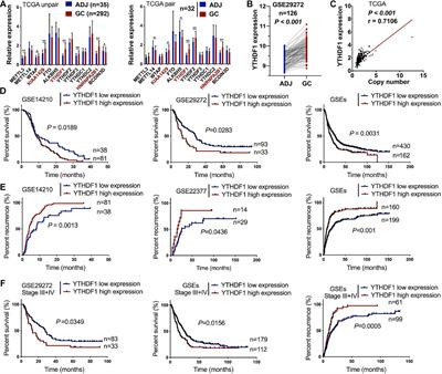 The m6A Reader YTHDF1 Facilitates the Tumorigenesis and Metastasis of Gastric Cancer via USP14 Translation in an m6A-Dependent Manner